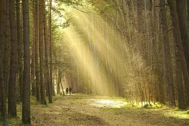 10 consejos para disfrutar de tus escapadas al aire libre