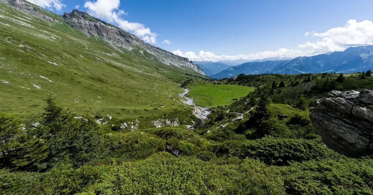 Cómo disfrutar de una escapada a la montaña: consejos clave