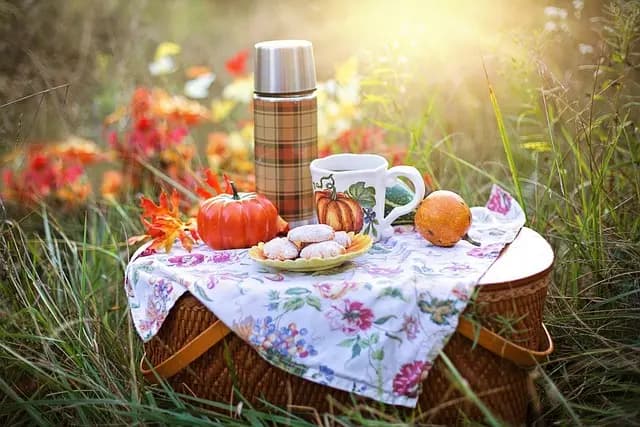 10 consejos para disfrutar de un picnic perfecto