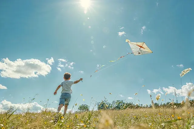 Cómo disfrutar de un día de campo perfecto: consejos y actividades