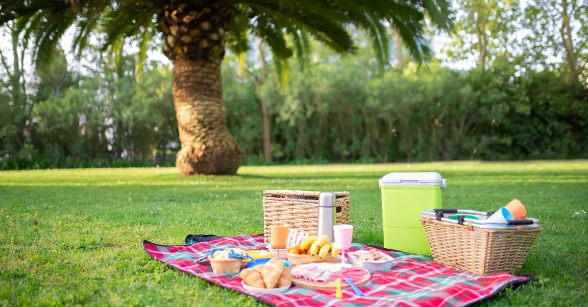 Guía práctica para disfrutar de un picnic perfecto