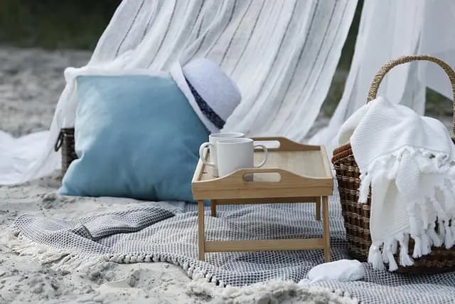 Cómo organizar el picnic perfecto: consejos y recetas