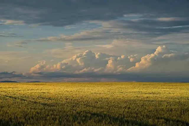 Cómo disfrutar de una escapada agroturística: consejos y recomendaciones
