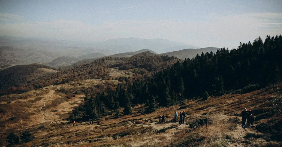 Cómo disfrutar de un día en la montaña: consejos y actividades