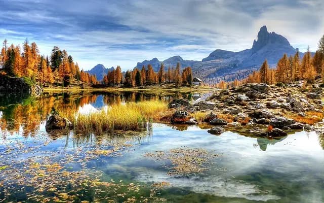 Cómo disfrutar de la vida al aire libre: consejos y actividades