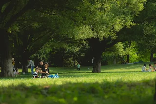 Cómo planificar un picnic perfecto en familia: consejos y recetas