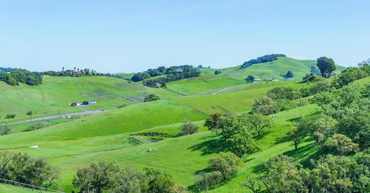 Cómo disfrutar de un día perfecto en el campo