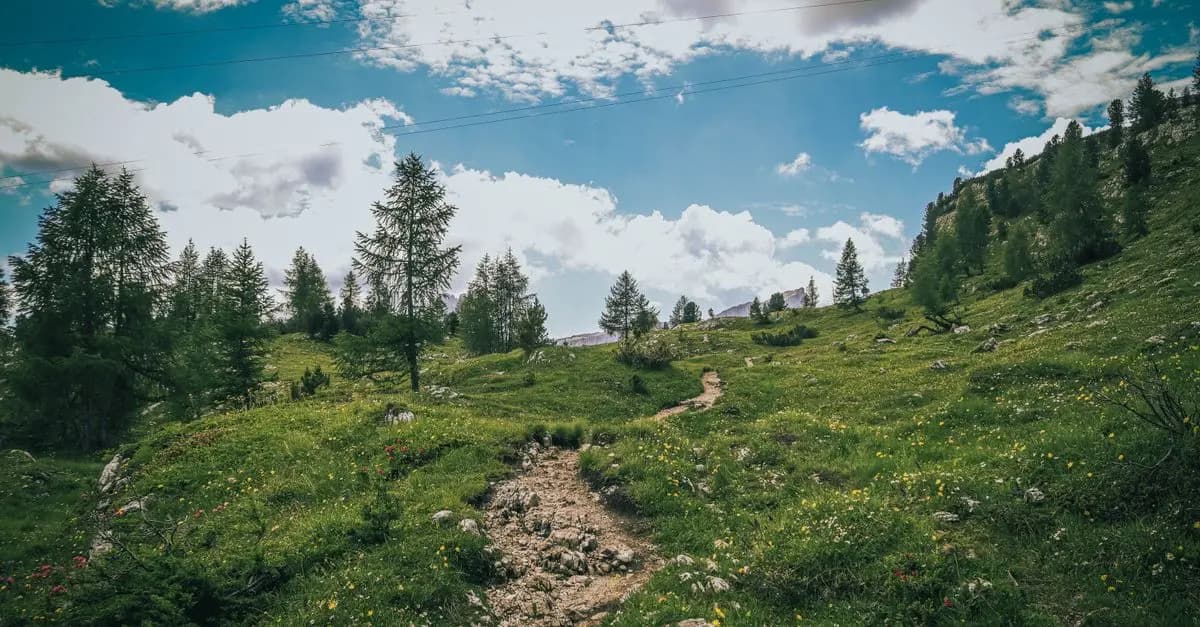 10 consejos para disfrutar de un día perfecto en la naturaleza