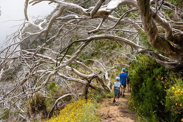 Cómo disfrutar de una escapada perfecta en la montaña