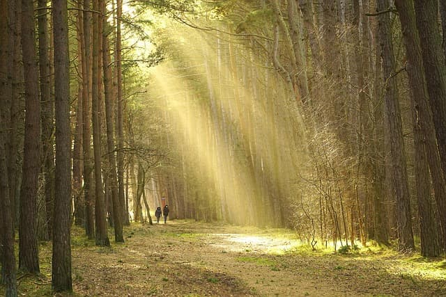 10 consejos para disfrutar de un día perfecto en la naturaleza